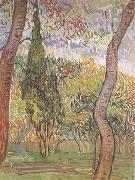 The Garden of Saint-Paul Hospital (nn04), Vincent Van Gogh